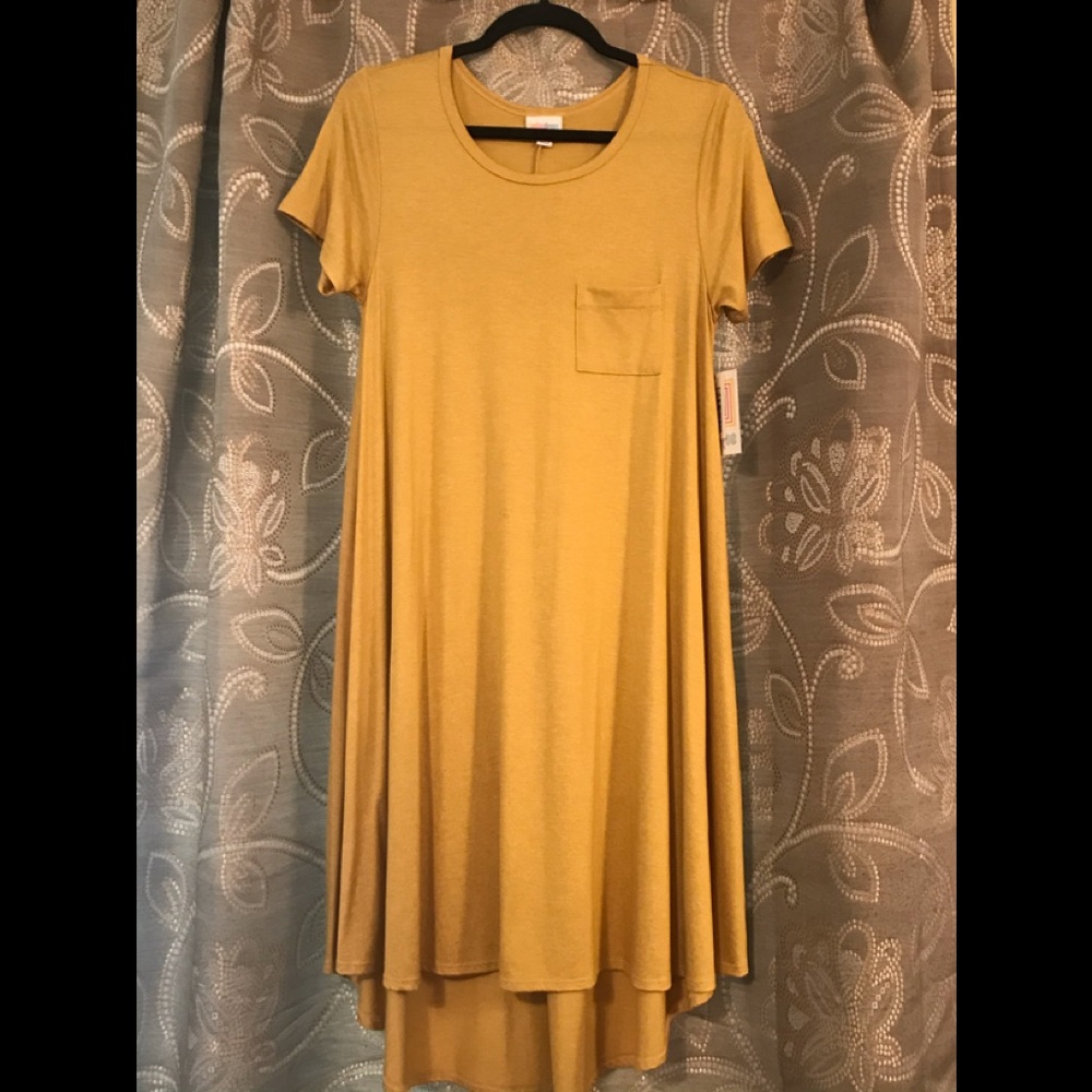Lularoe Carly dress.